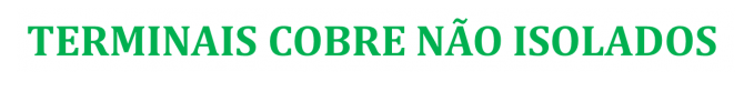 TERMINAIS EM COBRE NÃO ISOLADOS - Pedro Nevada